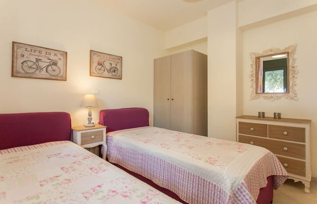 Olive Tree Farm - Foto 3