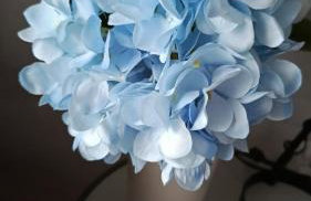 EliBlue -Twój apartament - Foto 24