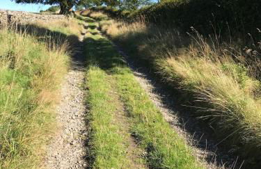 Gorgeous boutique off-grid cottage near Peebles - Foto 47