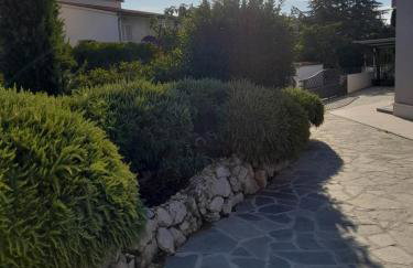 Apartmani Seka 1 - Foto 14