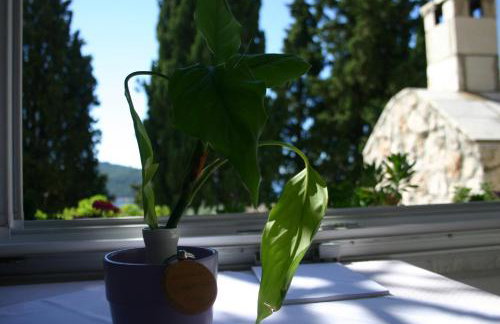 Apartments Dubrovnik Center - Photo 15