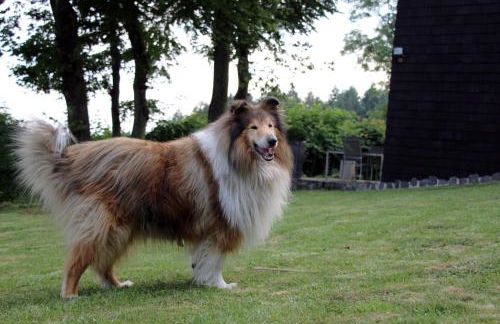 Ferienhaus Vogelsbergblick, Fernblick, Sauna, Kamin, 1700m eingezäunt in Alleinlage - Foto 76