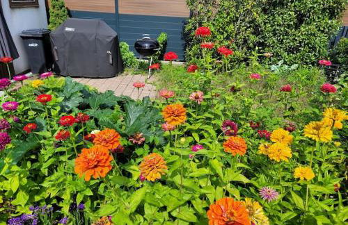 Souterrainwohnung - Foto 15