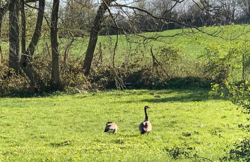 Gutshof Rothensande - Foto 11