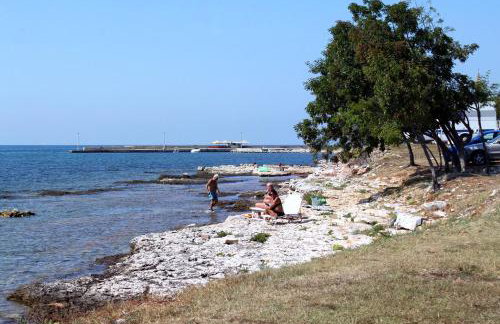 Family friendly house with a swimming pool Lovrecica, Umag - 22979 - Foto 24