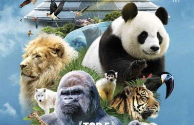 Le Beauval enchanté proche zoo & châteaux de la Loire - Foto 10