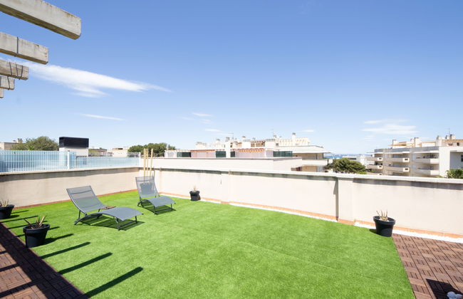 Bosc de la Montserrada - Foto 16