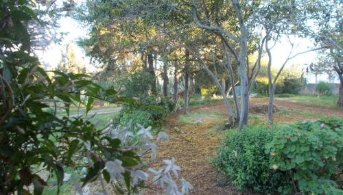 Casa Fonte - Foto 2, Garden