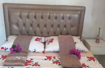 Flor de cacto - Foto 15