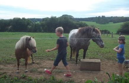 Gite Du Colombier - Foto 26