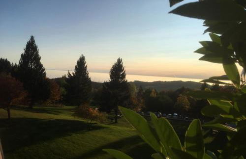 Komfortable Wohnungen und Studio in Sankt Englmar - Foto 46