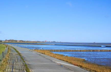 Am Horumertief - Foto 27