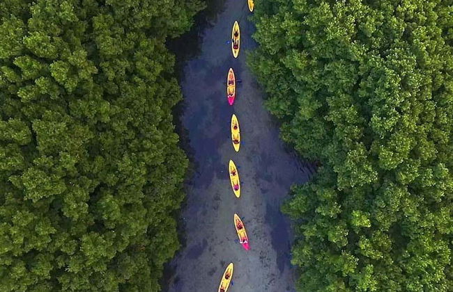 Forêt nationale d'El Yunque + Baies bioluminescentes - Photo 1