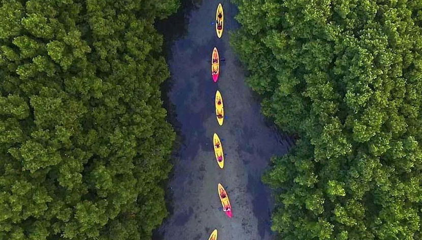 En kayak por las bahías bioluminiscentes