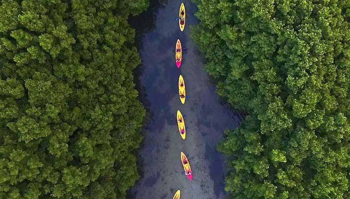 En kayak por las bahías bioluminiscentes