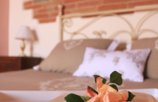 Agriturismo Terra di Cortona - Foto 7