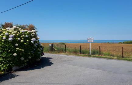 Brynarfor near Aberaeron - Photo 14