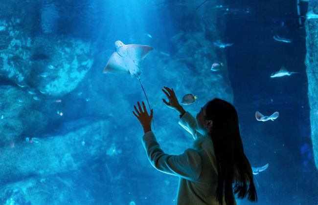 SEA LIFE® Birmingham Tickets - Photo 2