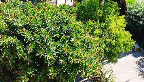 Beach Nice Flat - Foto 1