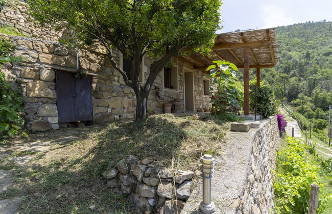 1 bedroom House in Vallebona with garden and terrace - Photo 8