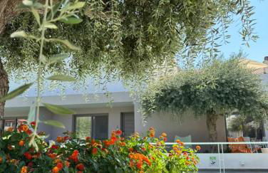 Thassos OLIVIA RESORT - Foto 62