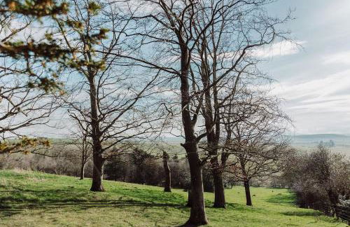 Melkington Lodge - Foto 30