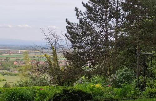 Les charmes de la Kirneck - Photo 38