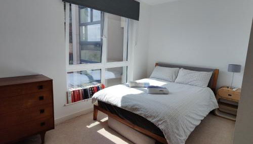 Homely Spacious 3 bedrooms duplex with roof-top next to Victoria Park & regent's canal in vibrant East End London - Foto 5