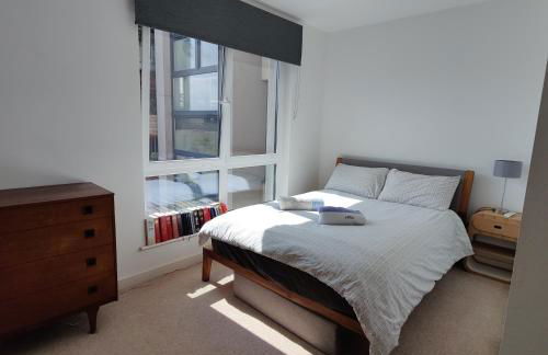 Homely Spacious 3 bedrooms duplex with roof-top next to Victoria Park & regent's canal in vibrant East End London - Foto 5
