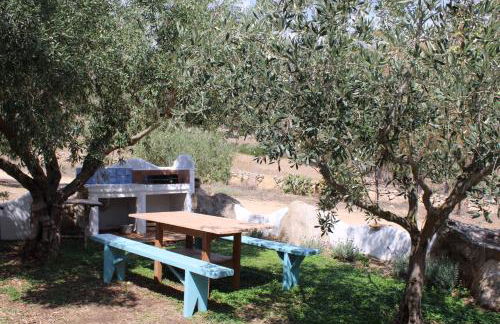 Domo Galàna - Foto 59