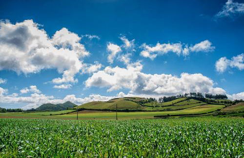 Azor Eco Lodge - Photo 22