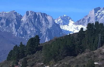 Apartamentos Briz - Photo 66