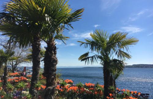 Lieblingsnest - Foto 24