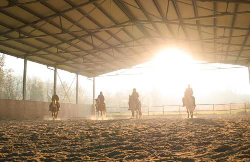 Origine Country Farm - Photo 36