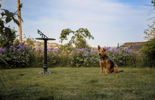 Wells Cottage - Foto 38