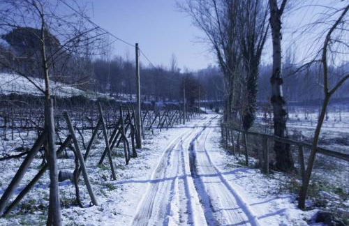 Quinta do Mosteiro - Foto 56