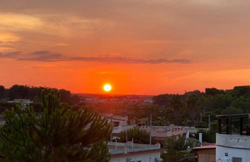 Villa Alba Puglia - Experience Authentic Puglian Bliss - Foto 60