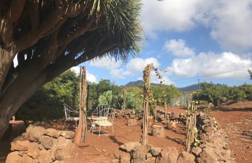 Finca El Vergel Rural - Photo 7