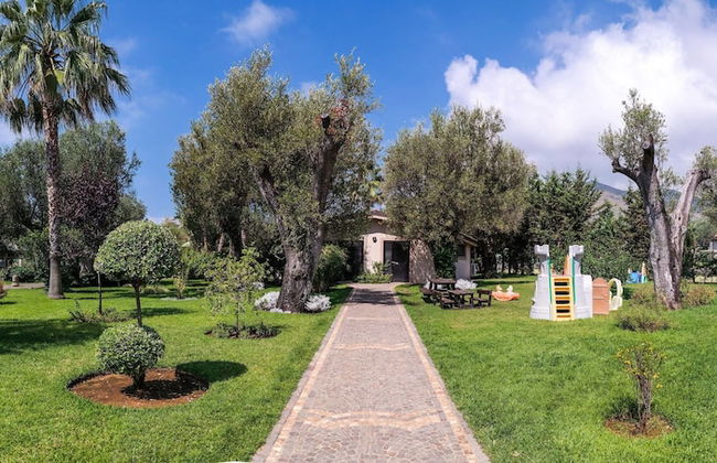 Blue Marine - Photo 37