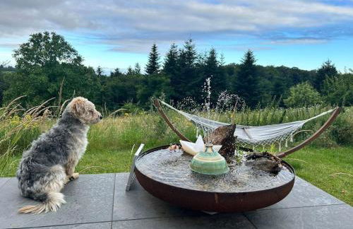 Mosel Urlaub Stabenhof - Whirlpool, Natur und Grill - Foto 30