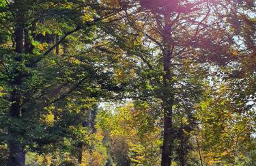 Domek pod Kłódką - Foto 33