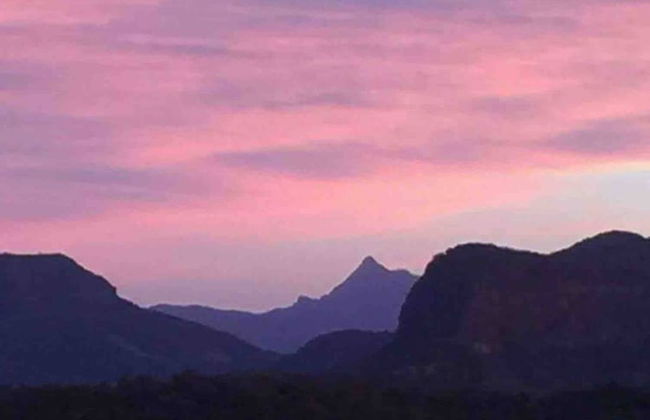 Cabane Tiny Tree House no4 - Foto 35