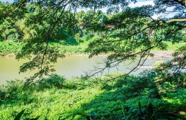 Riverine Cascade - Foto 25