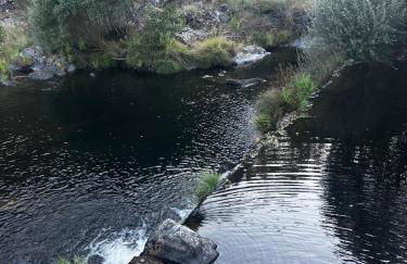 Azoka by the River- Proença-a-Nova - Foto 28