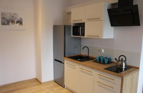 Apartamenty Świstak Maciej Dunajczan - Foto 24