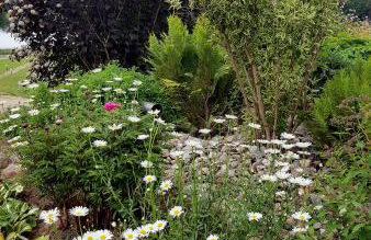 Przystań Nad Zatoką - Gospodarstwo Agroturystyczne - Foto 78