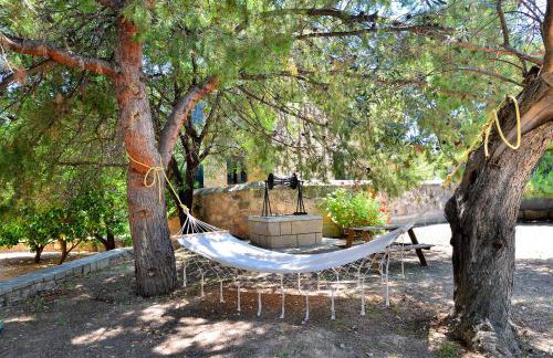 PYRGOS RALLI ESTATE Guesthouse - Foto 20