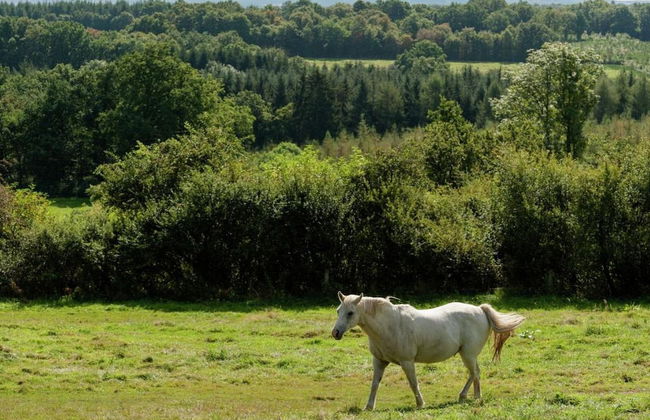 Holiday Home in Somme-leuze With Private Garden - Foto 24