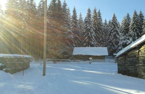 Ferienwohnung GABI - Foto 21