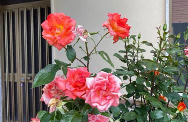 Casa in campagna - L'OSTERIA - Foto 17